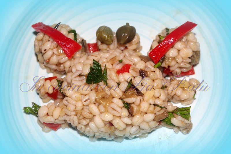 orzo perlato vegetariano (2)