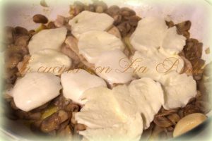 petto di pollo mozzarella e funghi (11)