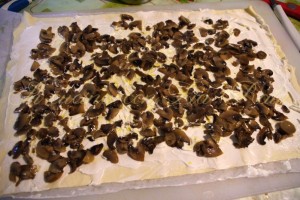 girelle ai funghi (6)