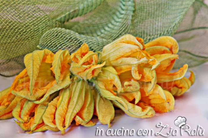 fiori di zucca