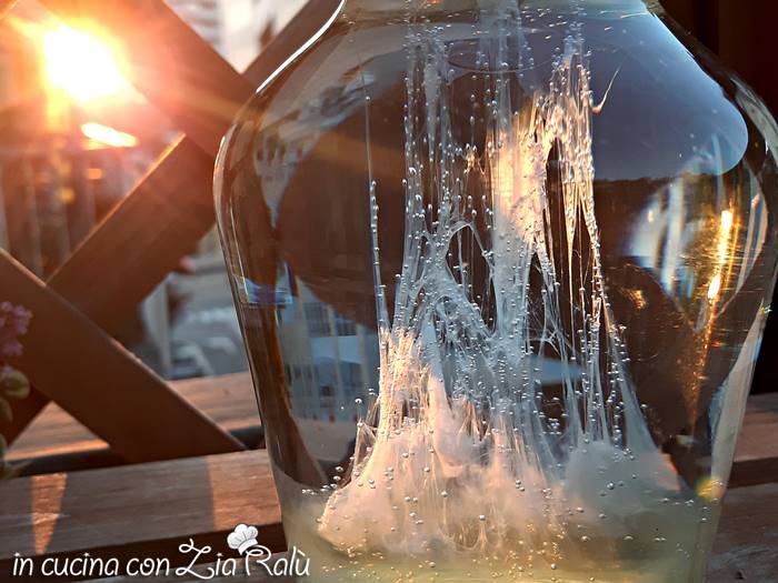 La barca di san Pietro tradizione popolare antica