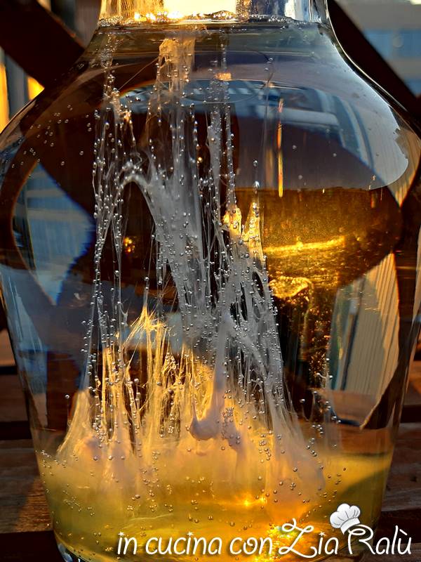 la barca di san pietro o il veliero di san pietro